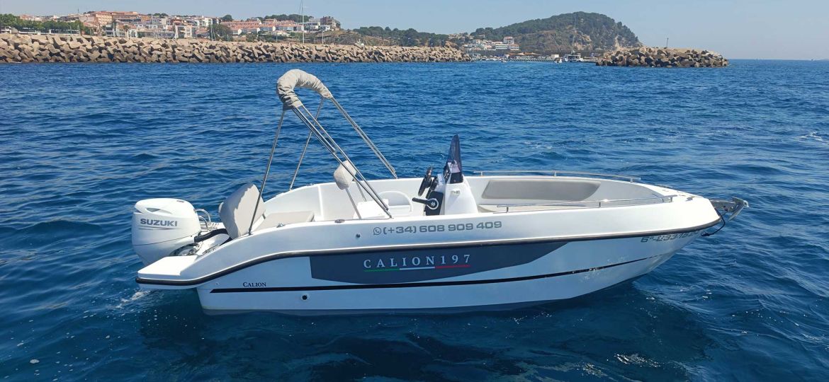 calion-197-3